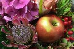 Couleurs d' automne