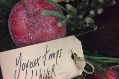 Arrangement d' hiver