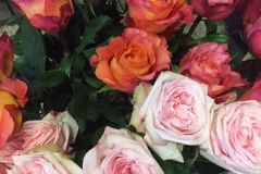Roses