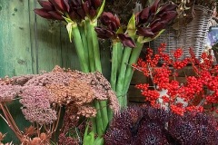 Fleurs hivernale