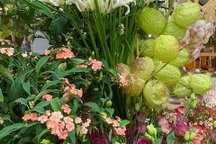 Mélange pastel