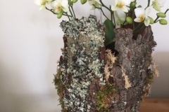 Orchidée
