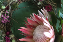 Couronne