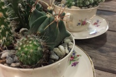 Les tasses à thé de  grand-maman