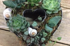 Les Moules à gâteaux