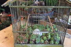 brocante ancienne cage à oiseaux